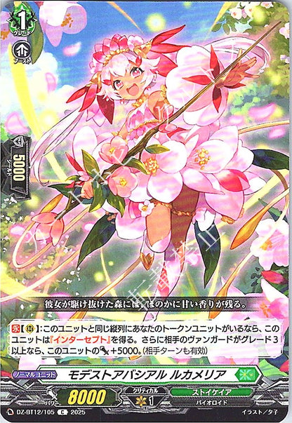 DZ/BT12/105C モデストアバシアル ルカメリア