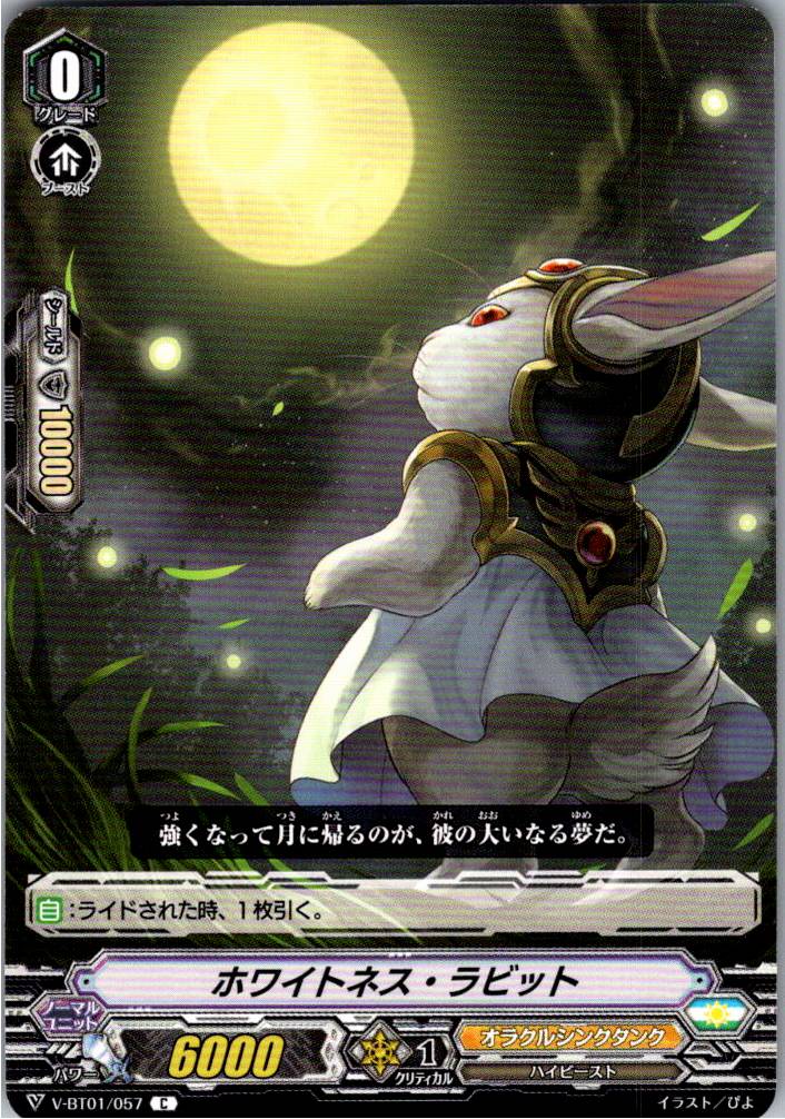 V/BT01/057C Whiteness Rabbit [Warehouse Stock]