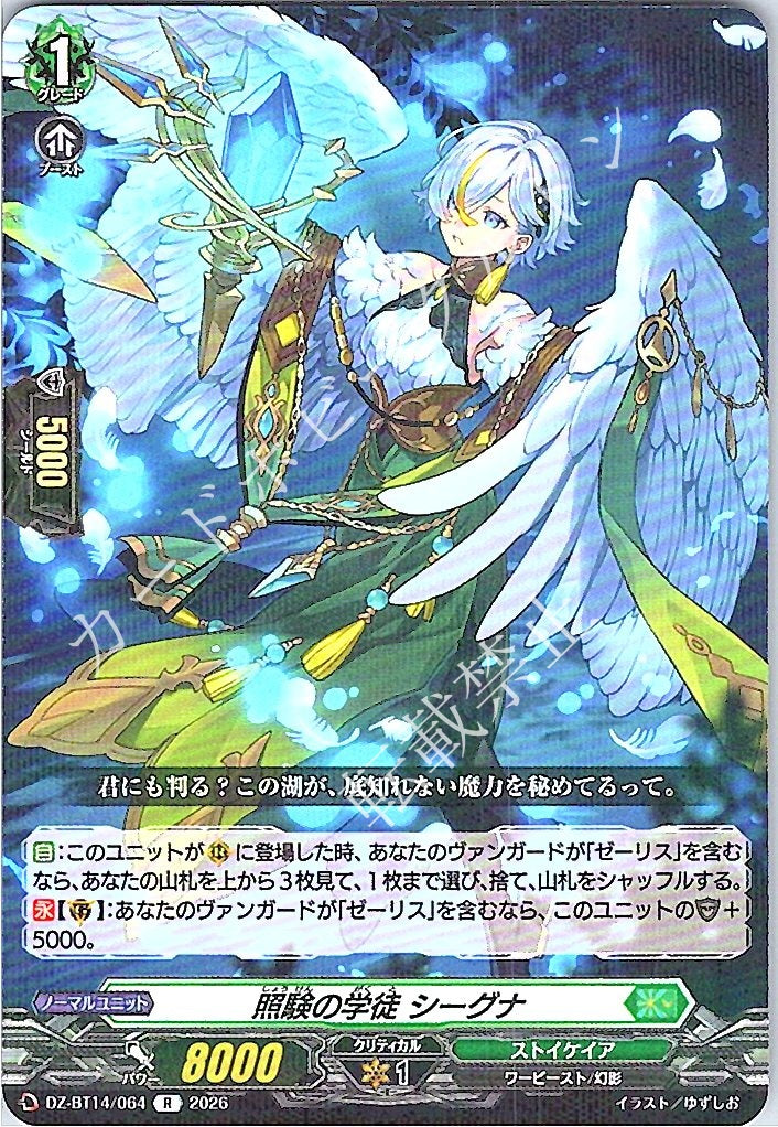 DZ/BT14/064R Sage of Scrutiny, Siegna