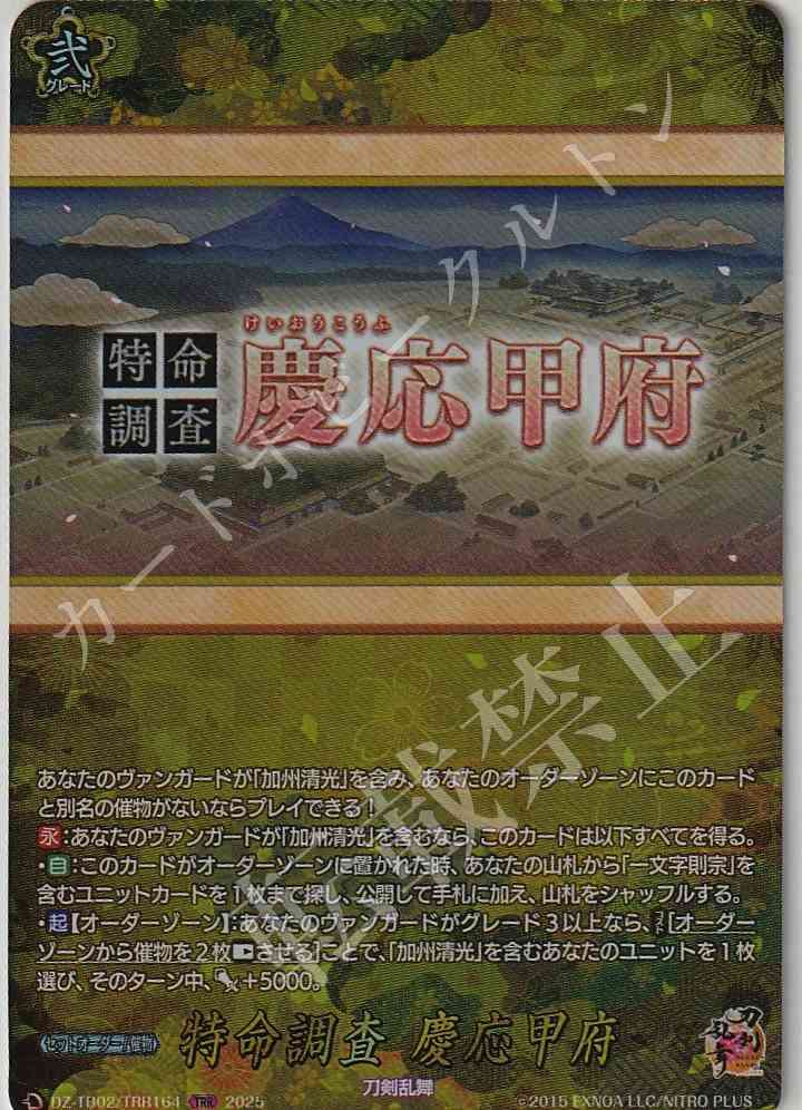 DZ/TB02/TRR164 Special Investigation Keio Kofu