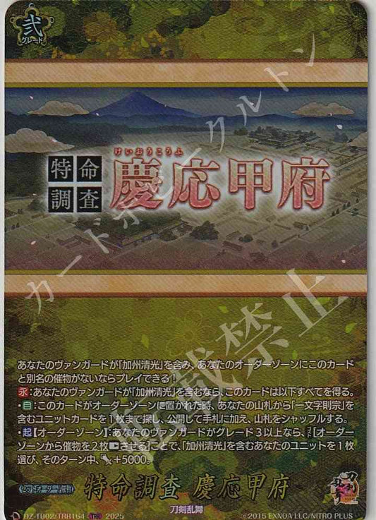 DZ/TB02/TRR164 特命調査 慶応甲府