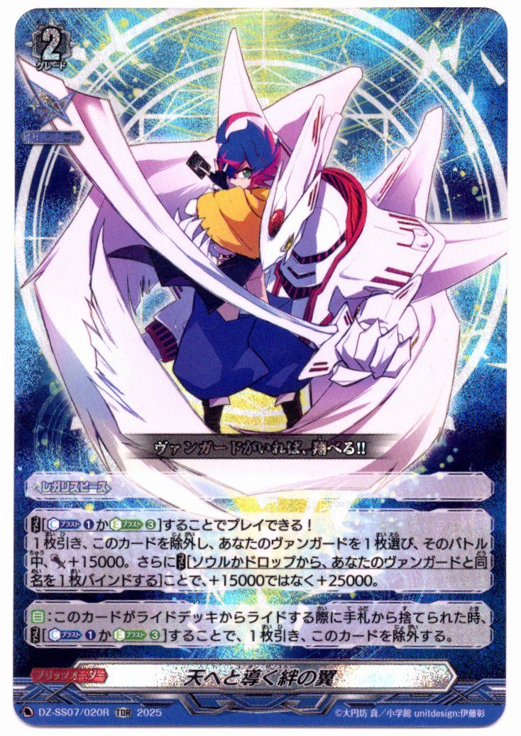 DZ/SS07/020RTDR Wings of Bonds Leading to Heaven [Store Purchase Item]
