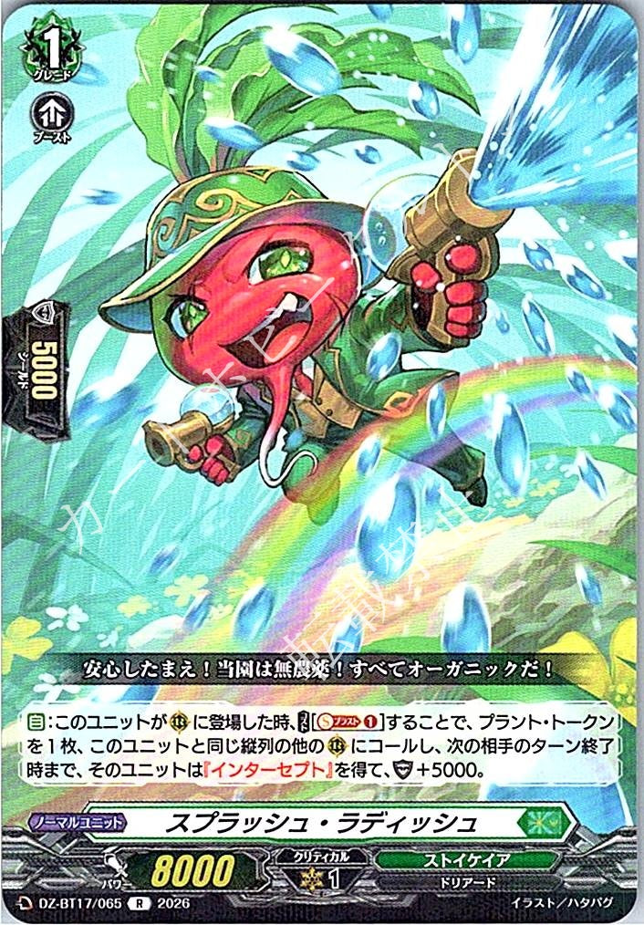 DZ/BT17/065R スプラッシュ・ラディッシュ