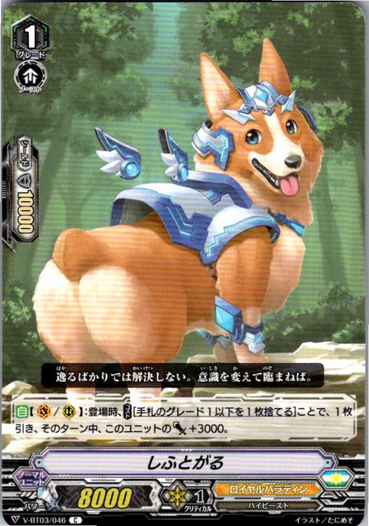 V/BT03/046C しふとがる 【倉庫在庫品】