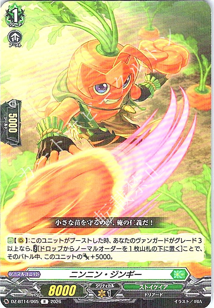 DZ/BT14/065R Ninning Jinngy