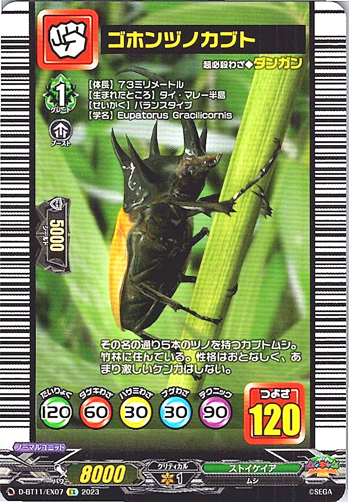 D/BT11/EX07EX ゴホンヅノカブト