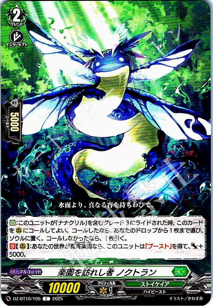 DZ/BT10/105 Nocturn, Visiter of Paradise