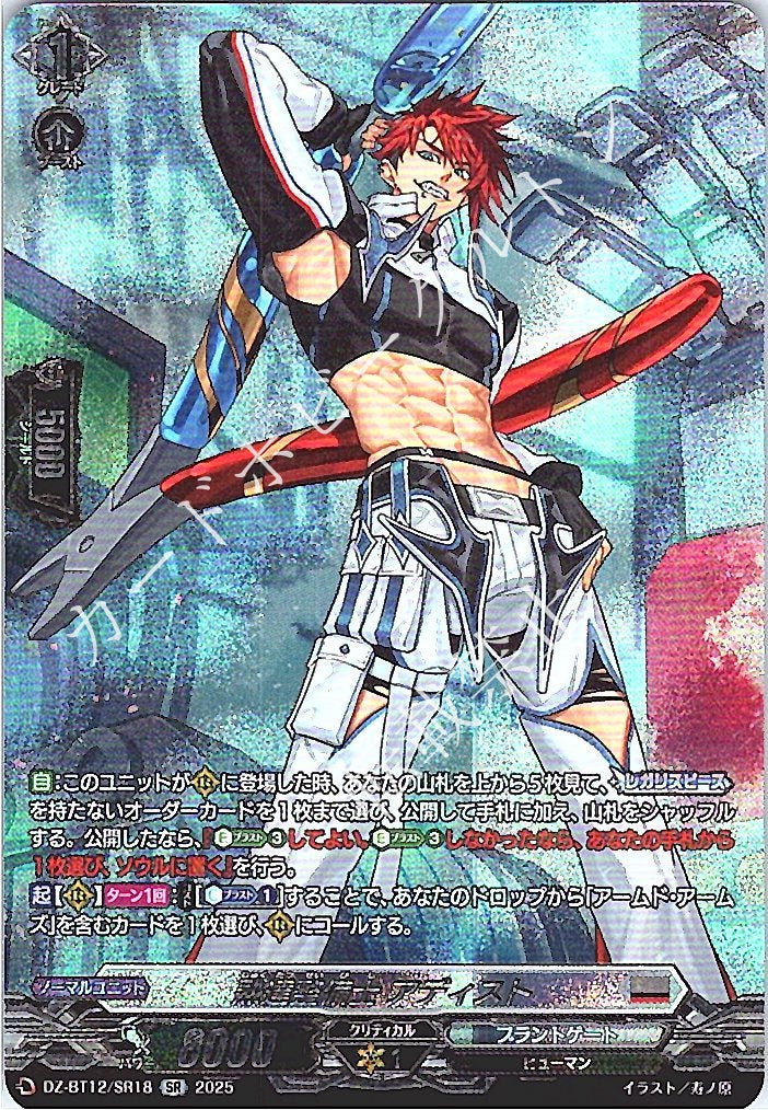 DZ/BT12/SR18SR Seasoned Mechanic, Adist