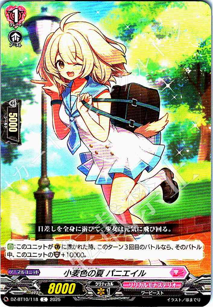DZ/BT10/118 Sun-Kissed Summer, Paniel